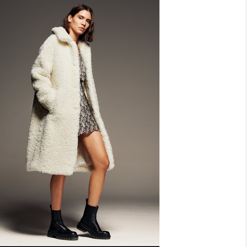 Faux fur Coat- Zara - Picture 4 of 5